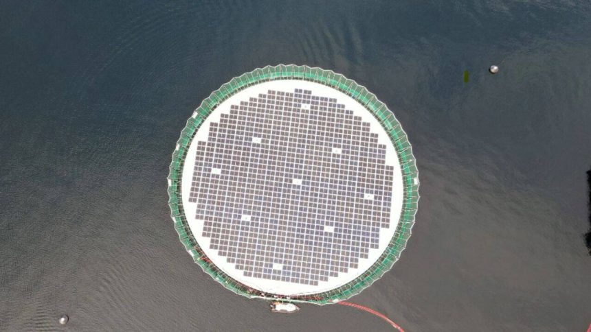 How floating solar panels created a new home for thousands of salmon at a Chile fish farm