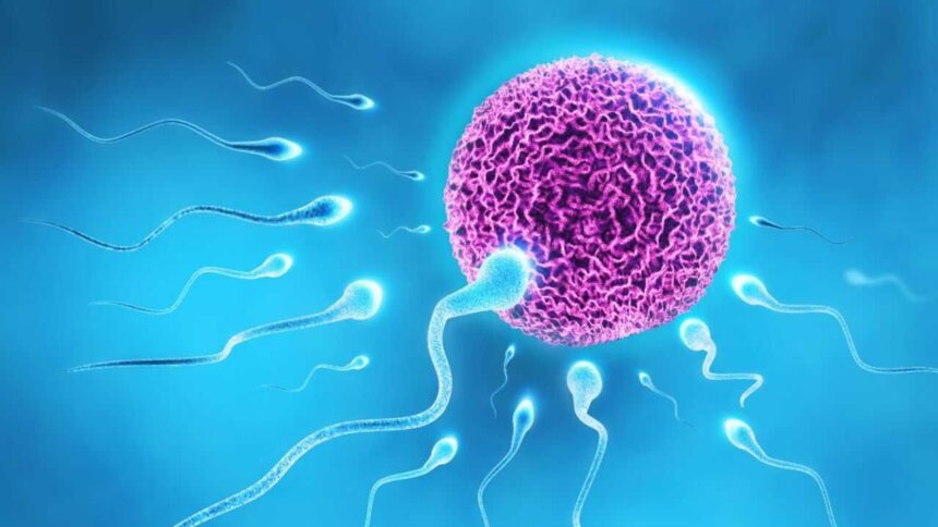 How IVF changed millions of lives: The story behind World IVF Day