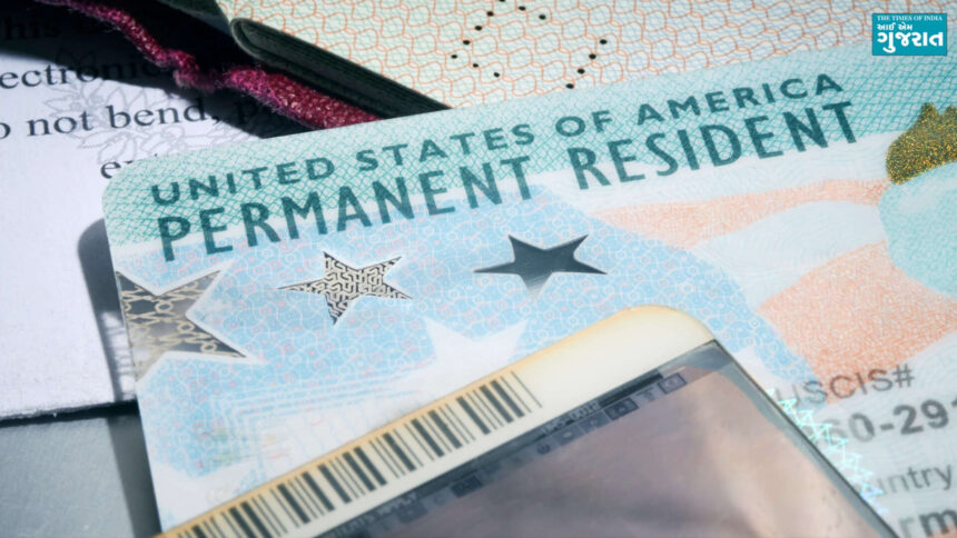 'If you have no criminal record...' US senator wants Green Card for immigrants after 7 years of residency, gets called out as