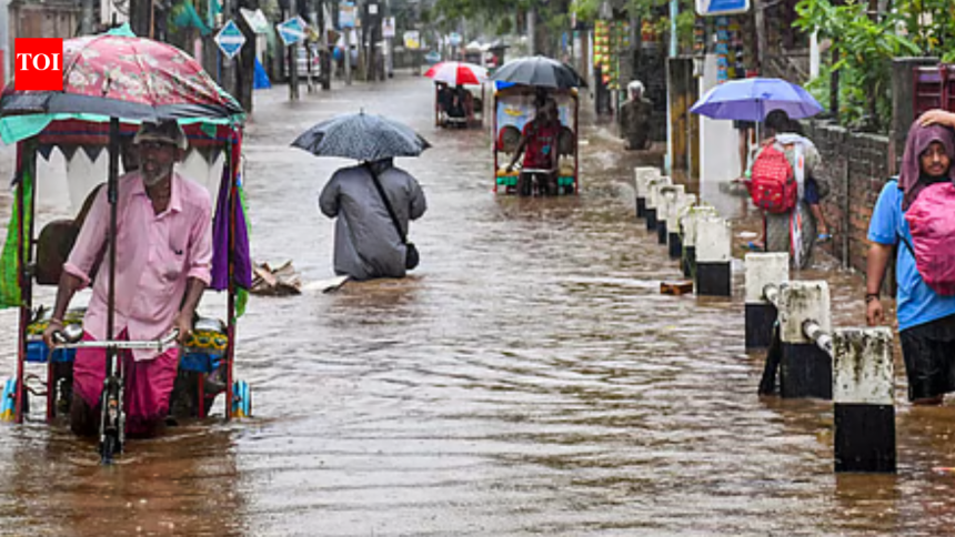 IMD forecasts heavy rain across Assam, Arunachal Pradesh and Nagaland till August 1; orange alert issued