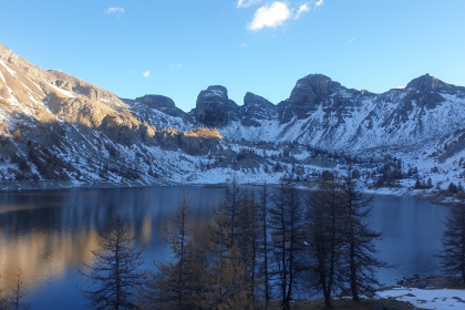 In 1924, Arctic charr from Lake Geneva were stocked into Lake Allos; a century later, their descendants showed distinct metab