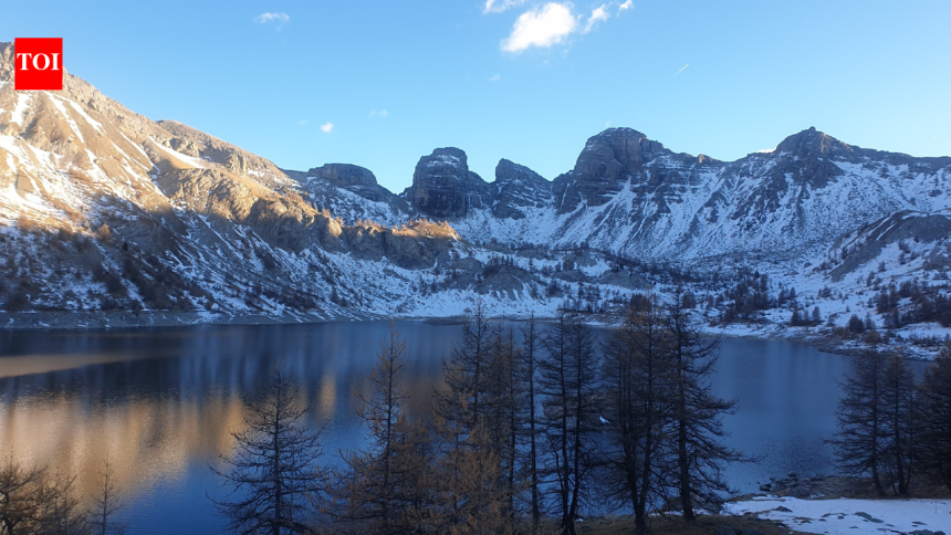 In 1924, Arctic charr from Lake Geneva were stocked into Lake Allos; a century later, their descendants showed distinct metab