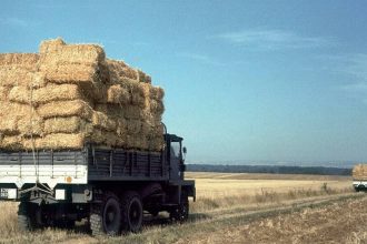 In France’s severe drought of 1976, the country launched a nationwide straw operation, moving about 60,000 tonnes by train