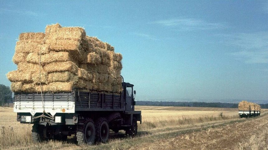 In France’s severe drought of 1976, the country launched a nationwide straw operation, moving about 60,000 tonnes by train