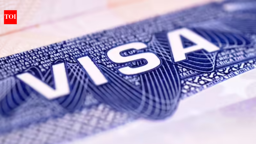 India to engage with US over immigration & visa issues