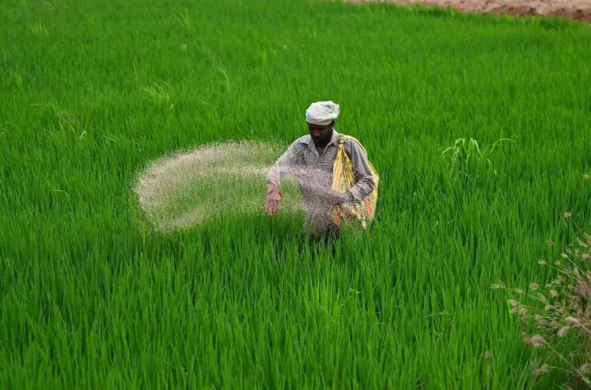 India's fertiliser game plan: Over 32 lakh tonnes imported in Q1; strengthened supply chain through overseas deals