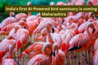 India's first AI-Powered bird sanctuary is coming to Maharashtra; here's what travellers can expect