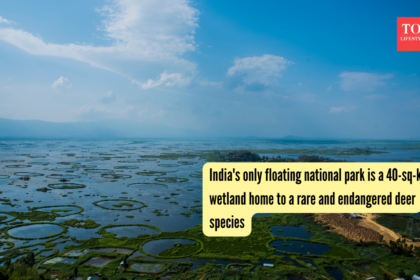 India's only floating national park is a 40-sq-km wetland home to a rare and endangered deer species