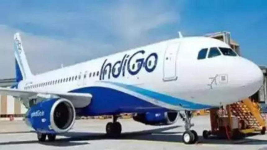 IndiGo offers crisis management plan to settle CCI probe into flight disruption case