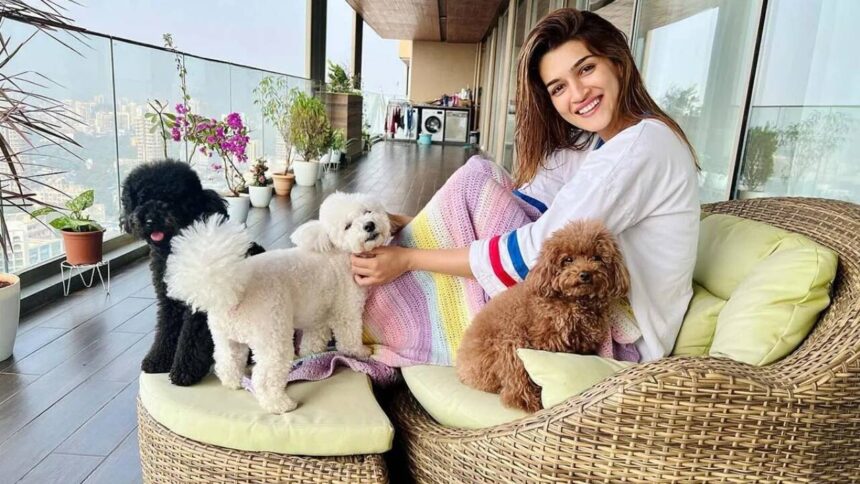 Inside Kriti Sanon's duplex sea-facing penthouse worth Rs 78 crore