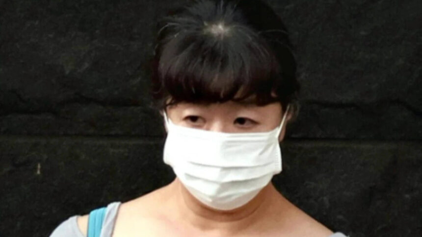 Japan midwife killed patient with feces-tainted IV, phone history reveals sickening searches