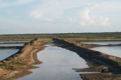 Locals stall drive to demolish illegal shrimp farms in Bhitarkanika
