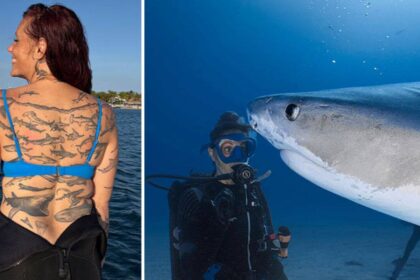 Meet Emily Morrison: The marine biologist who sets a world record for 106 shark tattoos to raise awareness for shark conserva