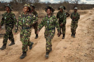Meet the Black Mambas: In one of South Africa's regions hardest hit by poaching, 36 unarmed women patrol the frontline and pr