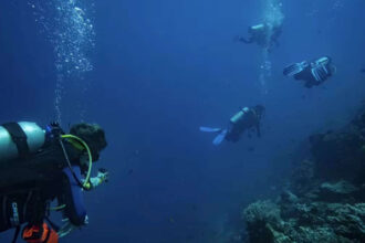 Most scuba divers believed they rarely touched reefs; underwater observers found more...