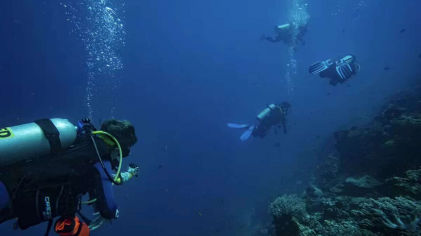 Most scuba divers believed they rarely touched reefs; underwater observers found more...