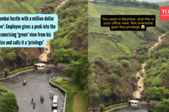 'Mumbai hustle with a million-dollar view': Employee gives a peek into the mesmerising 'green' view from his office and calls