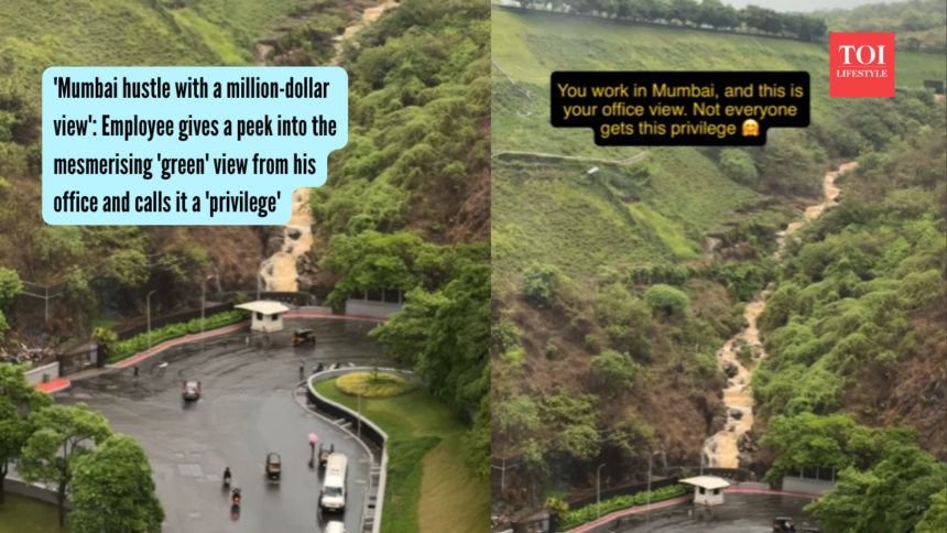 'Mumbai hustle with a million-dollar view': Employee gives a peek into the mesmerising 'green' view from his office and calls