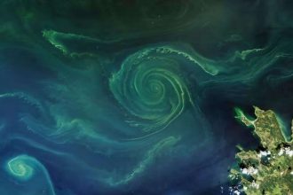 Nanobubbles Tested In Reflecting Pool: Engineers deploy ozone system; scientists eye oxygen-starved seas