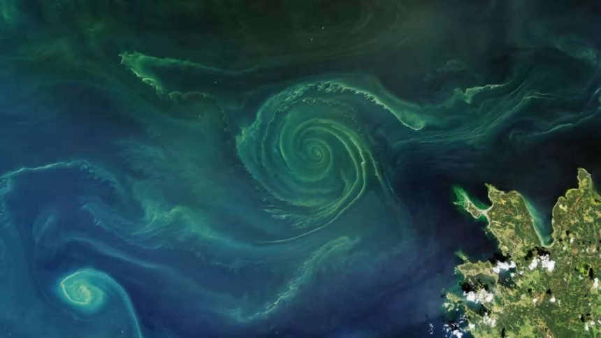 Nanobubbles Tested In Reflecting Pool: Engineers deploy ozone system; scientists eye oxygen-starved seas