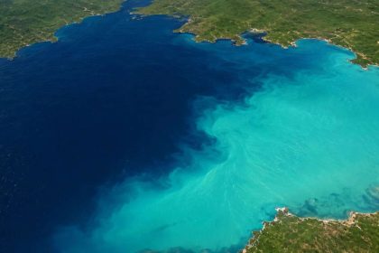 Nasa reveals why the Black Sea changes from dark blue to Turquoise each year