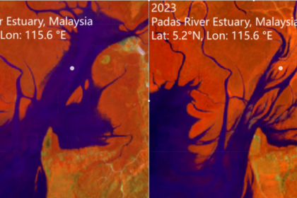 Nasa study reveals global mangrove recovery, but rising seas still pose a major threat on them