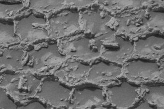 NASA's Curiosity Rover spots mysterious honeycomb pattern on Mars