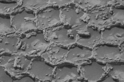 NASA's Curiosity Rover spots mysterious honeycomb pattern on Mars