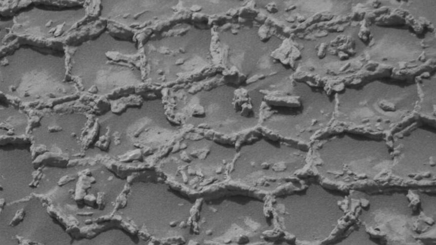 NASA's Curiosity Rover spots mysterious honeycomb pattern on Mars