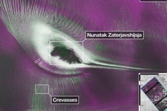 Nasa's NISAR satellite captures a striking 'hummingbird' pattern hidden in Antarctica's ice