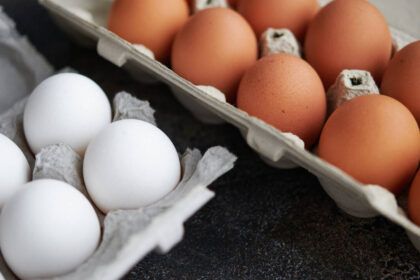 Nearly 1.6 million dozen eggs recalled over possible salmonella contamination after FDA alert, with Kroger and Brookshire sto