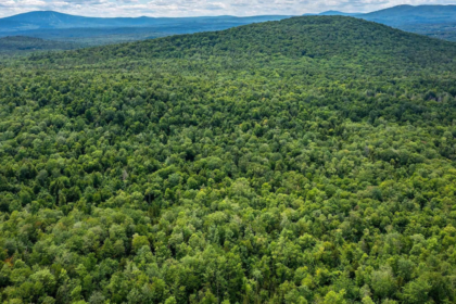 New England had almost completely lost its forests by the 1800s after centuries of logging. Then nature slowly reclaimed the