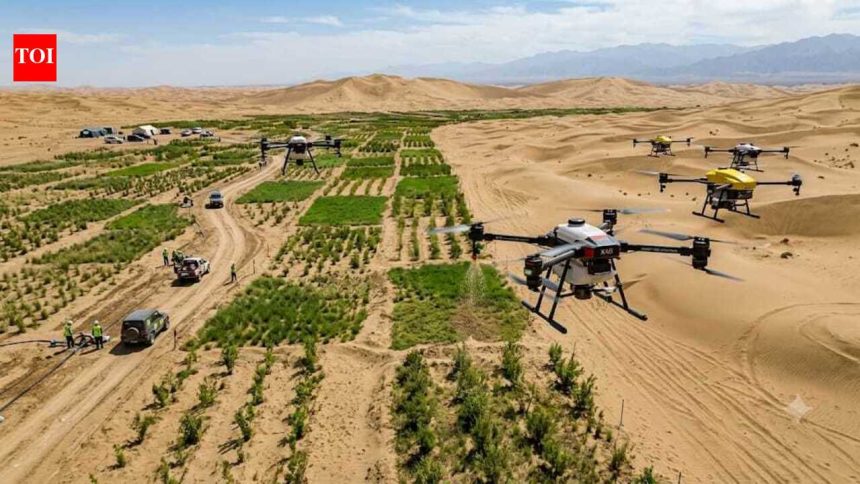 Once known as the 'Sea of Death', China's Taklamakan Desert is turning greener with drone technology