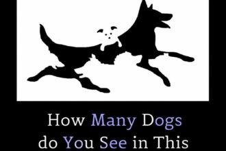 Optical illusion challenge: Can you count all the hidden dogs? only sharp-eyed observers get it right