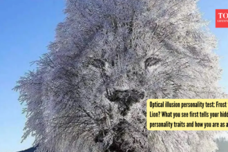Optical illusion personality test: Frost tree or Lion? What you see first tells your hidden personality traits and how you ar