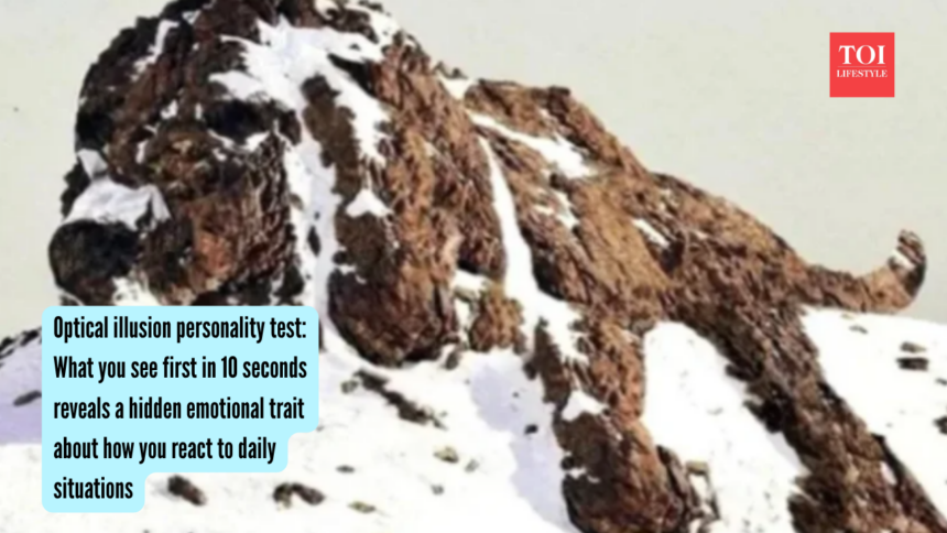 Optical illusion personality test: What you see first in 10 seconds reveals a hidden emotional trait about how you react to d