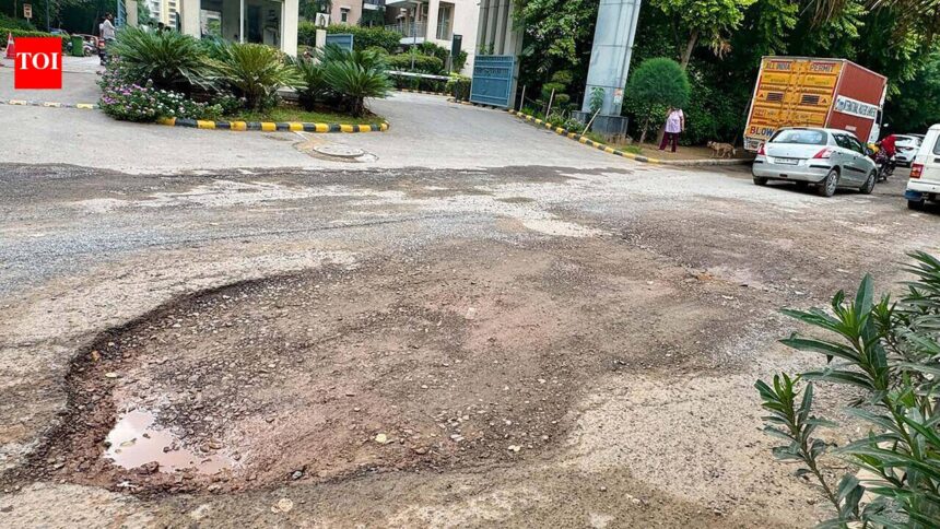 PMO intervention sought to fix pothole-ridden road near Gurgaon Sec-79 school