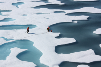 Polar Forcing Packs Bigger Punch: Poles drive triple warming; models must map where heat hits