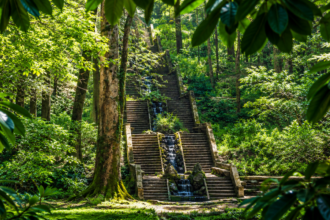 Portugal's ancient Bussaco National Forest has become the Iberian Peninsula's first therapeutic forest, and the reason goes b
