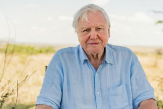 Quote of the day by David Attenborough: "No one will protect what they don't care about; and no one will care about..."