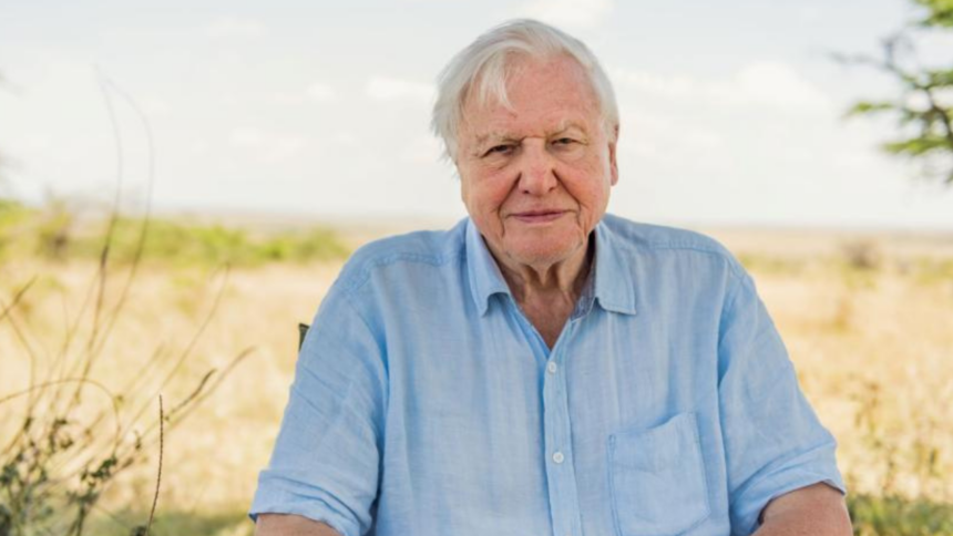 Quote of the day by David Attenborough: "No one will protect what they don't care about; and no one will care about..."