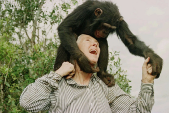 Quote of the day by Jane Goodall: Why "Even that great scientist Albert Einstein sustained a mystical outlook on life" remind