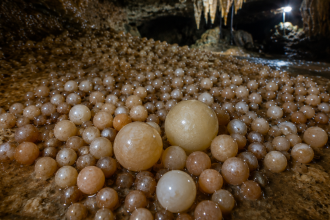 Researchers discover cave with rare cave pearls in Vietnam's Phong Nha-Ke Bang National Park