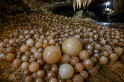 Researchers discover cave with rare cave pearls in Vietnam's Phong Nha-Ke Bang National Park