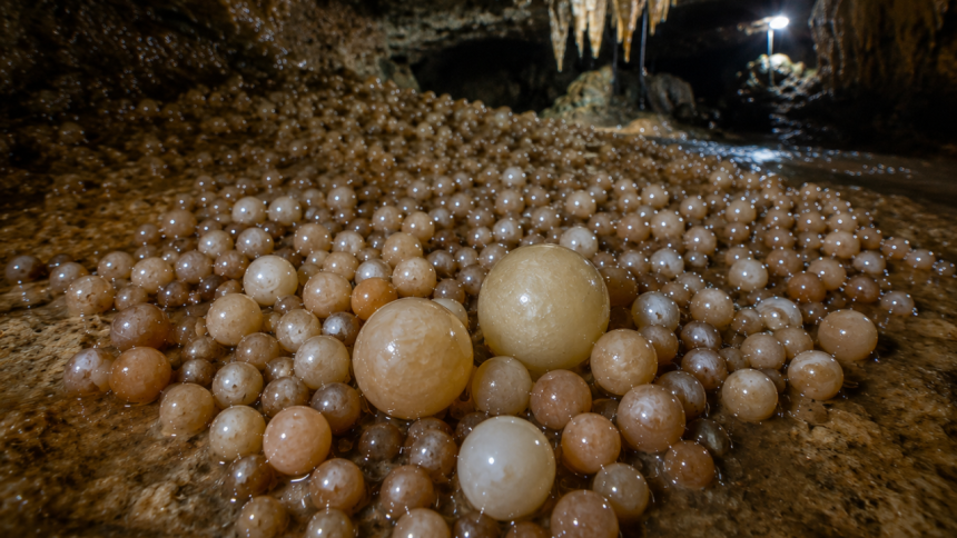 Researchers discover cave with rare cave pearls in Vietnam's Phong Nha-Ke Bang National Park
