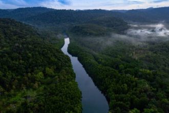 Rising heat leaves 57 million hectares of tropical forests unable to photosynthesise efficiently: Study