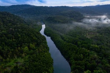 Rising heat leaves 57 million hectares of tropical forests unable to photosynthesise efficiently: Study