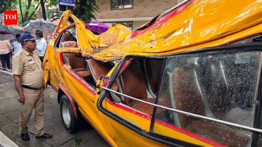 'Roots were flagged months ago': Mayor orders inquiry after tree crushes school van, kills 11-year-old in Mumbai