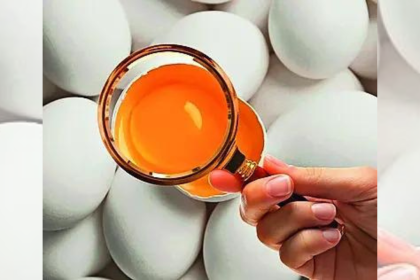 Rotten eggs, spoiled parathas: Swiggy gets 9 notices from FSSAI