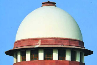 SC to examine plea to ease green-cracker ban